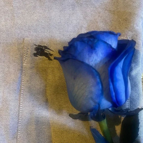 BURBERRY BRIT MEN’s LIGHT GREY-BLUE VINTAGE AUTHENTIC FULL-SLEEVE Shirt RARE LUX - Picture 2 of 16